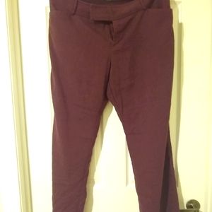 Massimo maroon dress pants